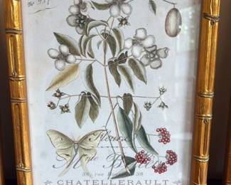 Botanical Print with Butterfly and Berries in Faux Bamboo Frame