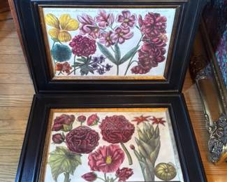 Pair of Vintage Botanical Prints