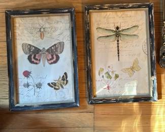 Set of Two Framed Botanical and Insect Prints