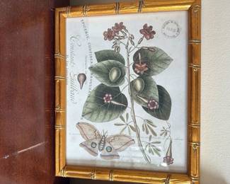Botanical Print with Butterfly and Berries in Faux Bamboo Frame