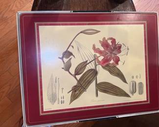Botanical Illustration Placemat Set