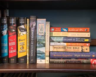 Vintage hardcover and paperback books by authors including Laini Taylor, David Quammen, Yann Martel, Jodi Picoult, Ruth Ware, Bruce Feiler, Barbara Kingsolver, and Alice Walker