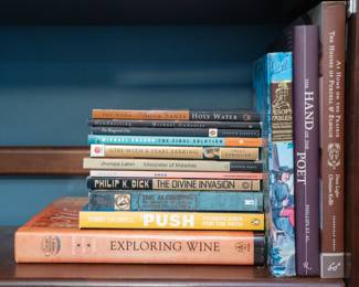 Books including Handwriting by Michael Ondaatje, Interpreter of Maladies by Jhumpa Lahiri, The Divine Invasion by Philip K. Dick, The Final Solution by Michael Chabon