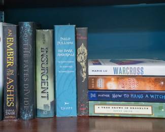 Vintage books including The Reaper at the Gate by Sabaa Tahir, Something Wicked This Way Comes by Ray Bradbury, Warcross by Marie Lu, and A Tree Grows in Brooklyn by Betty Smith