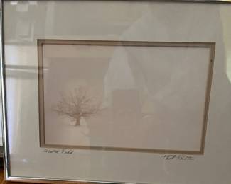 Photo named "Winter Field" by Phil Rusten.