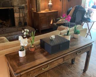 sofa table, faux plants