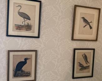 Set of 4 1850s bird prints