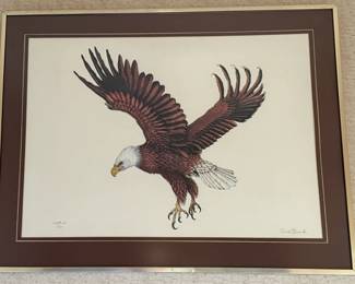 Framed print "Bald Eagle" by Dale Hauck (#72/900)