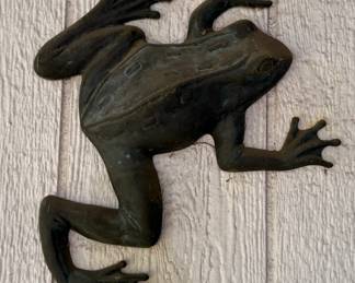 Outdoor Frog 