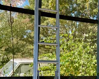 Davidson Extension Ladder