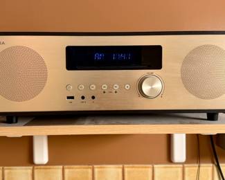 Insignia All-in-One Shelf System Radio