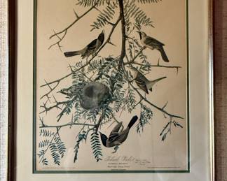 Framed print of Orchard Oriole