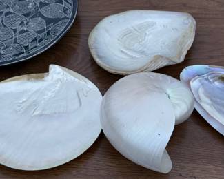 Shells