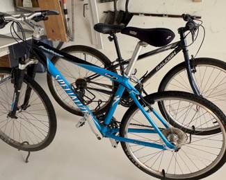 Specialized Rock Hopper and Raleigh Talus bikes