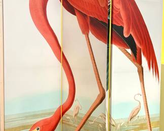Audubon flamingo on screen