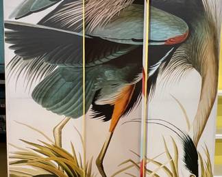 Audubon Heron on screen