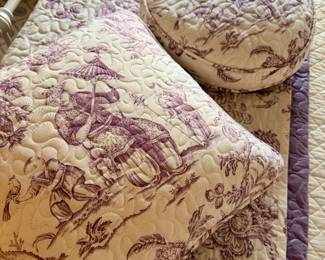 Custom Toile Blanket and bed pillows