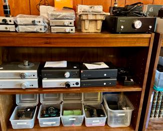 Analog digital hybrid electronics amps