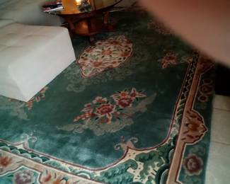 LG green area rug (possibly 8x11)
