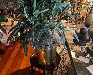 Various plants.
