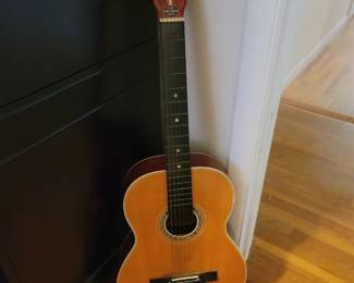 Seville Acoustic Guitar