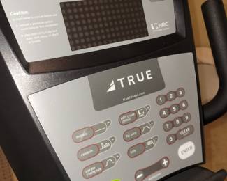 True Recumbent bike