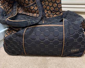 Cinda b Tortoise Overnighter bag and Tote