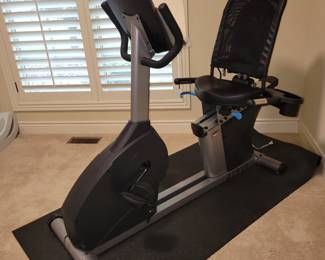 TRUE Recumbent Bike
