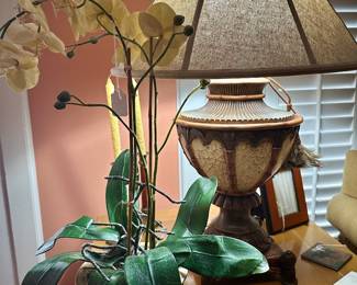The only kind of Orchid I can grow