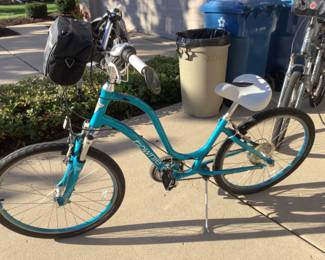 Ladies bike…Townie..flat foot technology