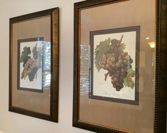Pair of larger fruit pictures