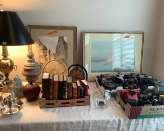 More lamps, books, antique cameras,