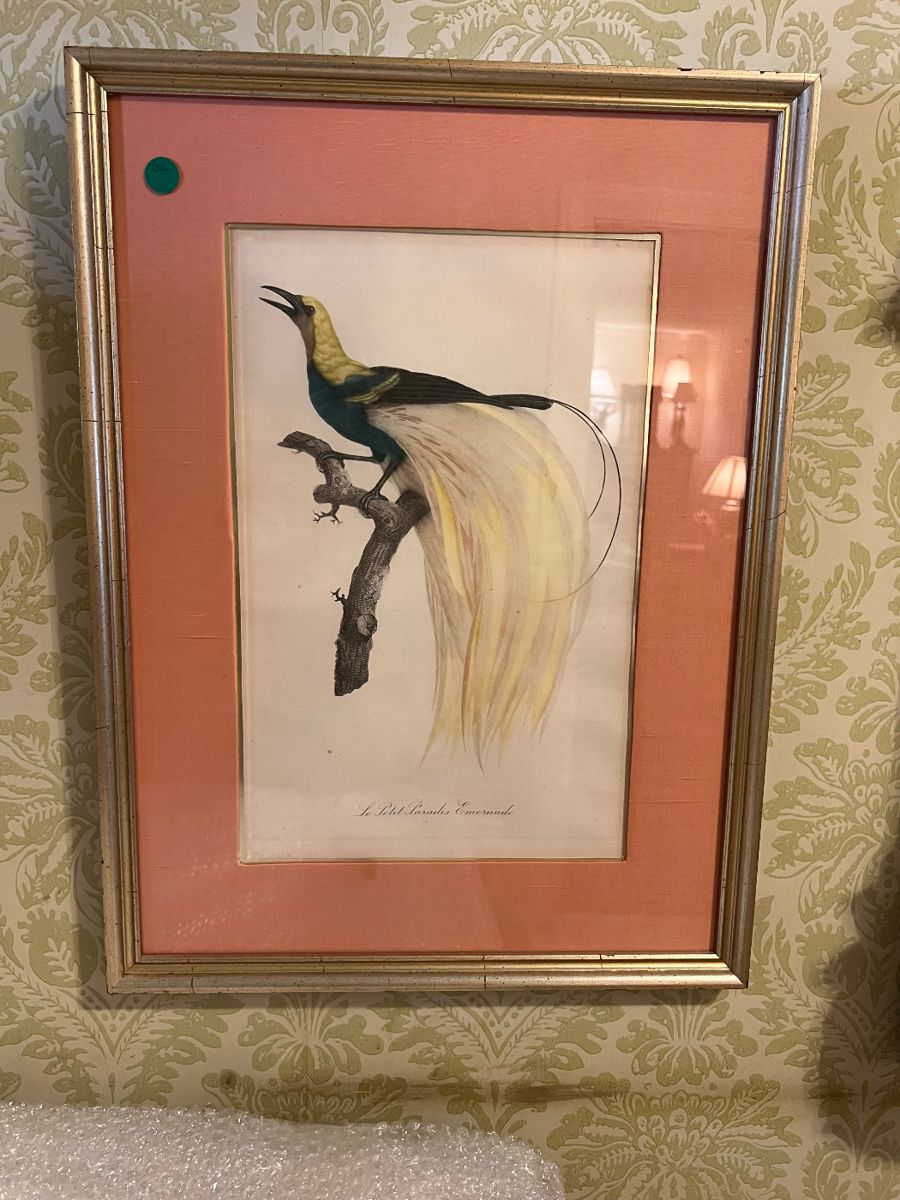 Jacques Barraband 1768-1806 original hand colored engravings