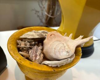 Seashells in decorative bowl