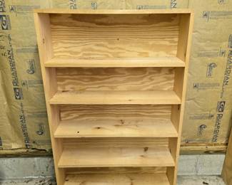 Bookcase (Garage)