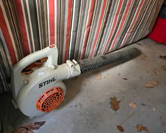 Leaf Blower (Basement)