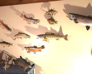 Fish taxidermy 