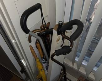 Canes of various shapes and sizes along with walking sticks