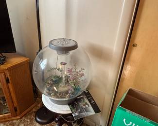 Fish bowl