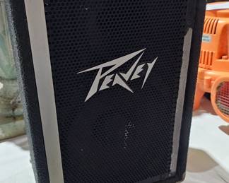 PEAVEY SPEAKER