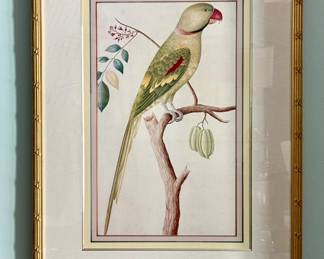 Vintage Audubon Prints