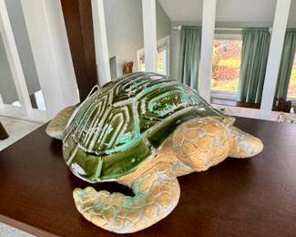 This turtle is super cute