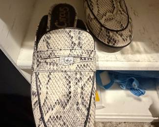 Snake Skin Slides