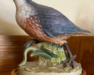 California Quail by Andrea
