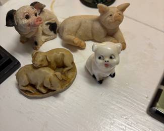 Pig family