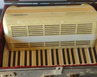 accordion, a musical instrument, with its case