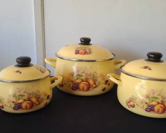Vintage enamelware Pots