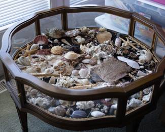 shells, table