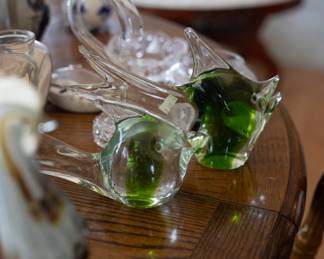 glass fish