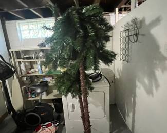 palm tree